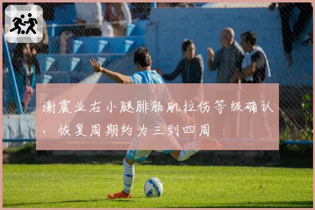 谢震业右小腿腓肠肌拉伤等级确认，恢复周期约为三到四周