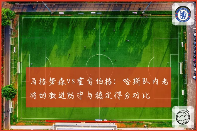 马格努森vs霍肯伯格:哈斯队内老将的激进防守与稳定得分对比