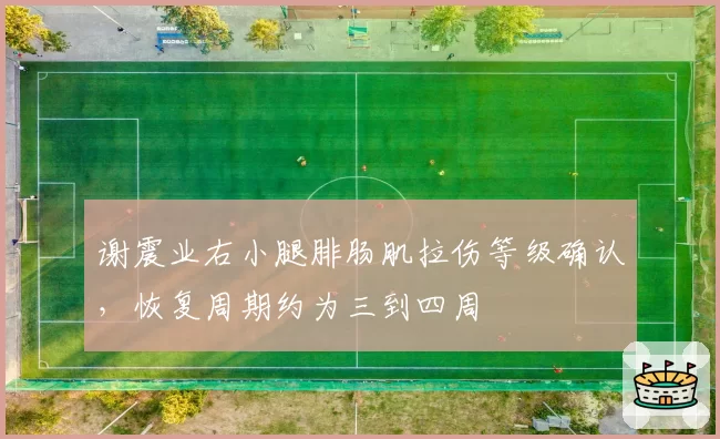 谢震业右小腿腓肠肌拉伤等级确认，恢复周期约为三到四周