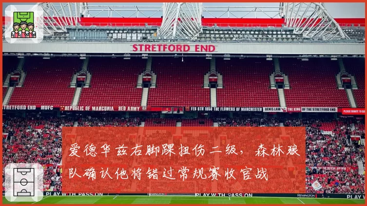 爱德华兹右脚踝扭伤二级,森林狼队确认他将错过常规赛收官战