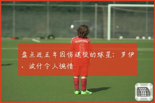 盘点近五年因伤退役的球星：罗伊、波什令人惋惜