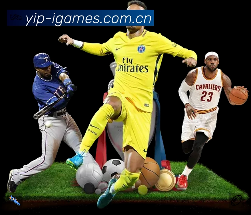 体育平台欢迎图